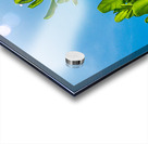 Upward Bloom Acrylic print