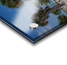 Elephant Beach Day Acrylic print