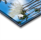 Palm Gate to the Atlantic Acrylic print