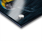 Rainforest Majesty Acrylic print