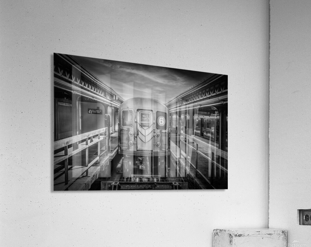 Arrival Acrylic Print