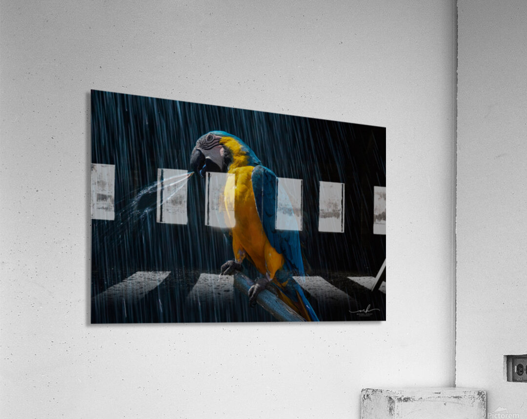 Rainforest Majesty Acrylic Print