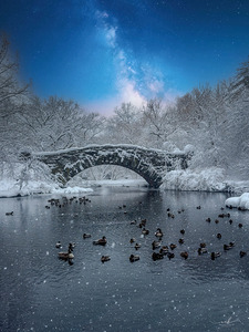 Stillness Beneath the Winter Bridge