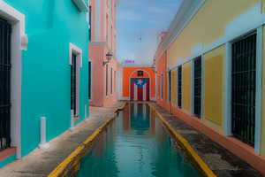 Alley of Pride and Reflection