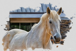 Keeper of Quiet Light