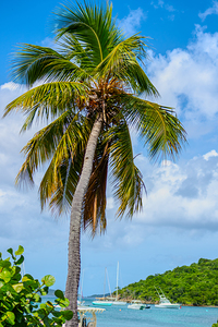 Whispers of the Horizon