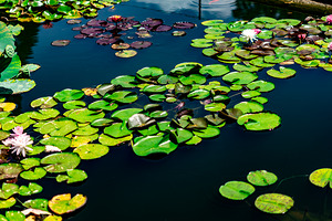 Whispers Beneath the Surface