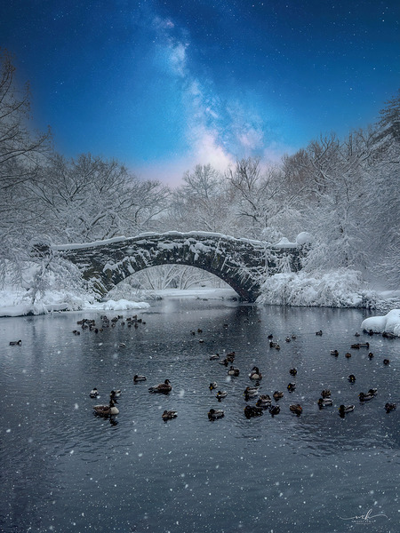 Stillness Beneath the Winter Bridge Print