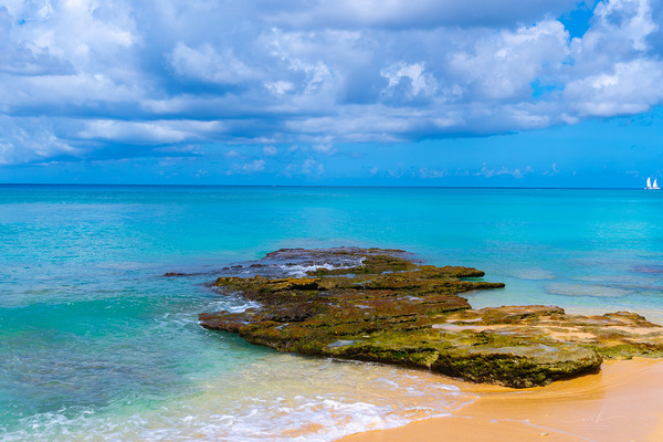 Where the Horizon Whispers Print