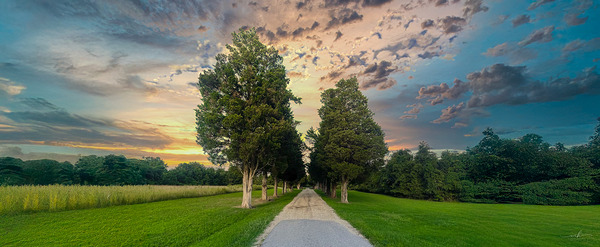Pathway to Serenity Print