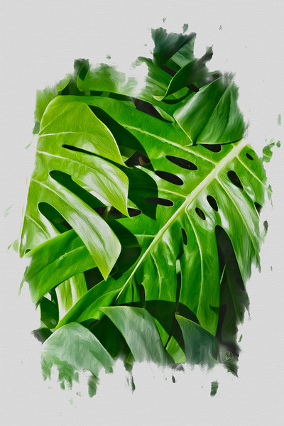 Still Verdant Print