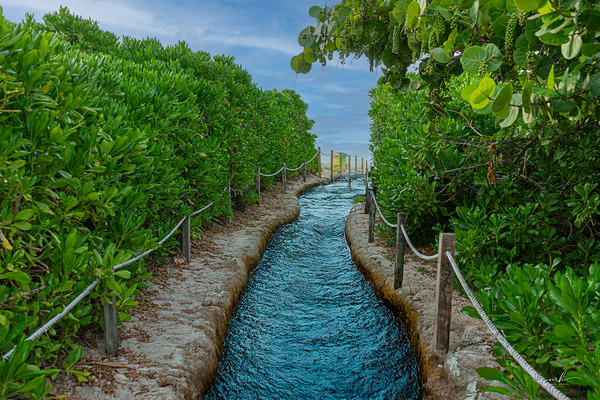 Path of Stillness Print