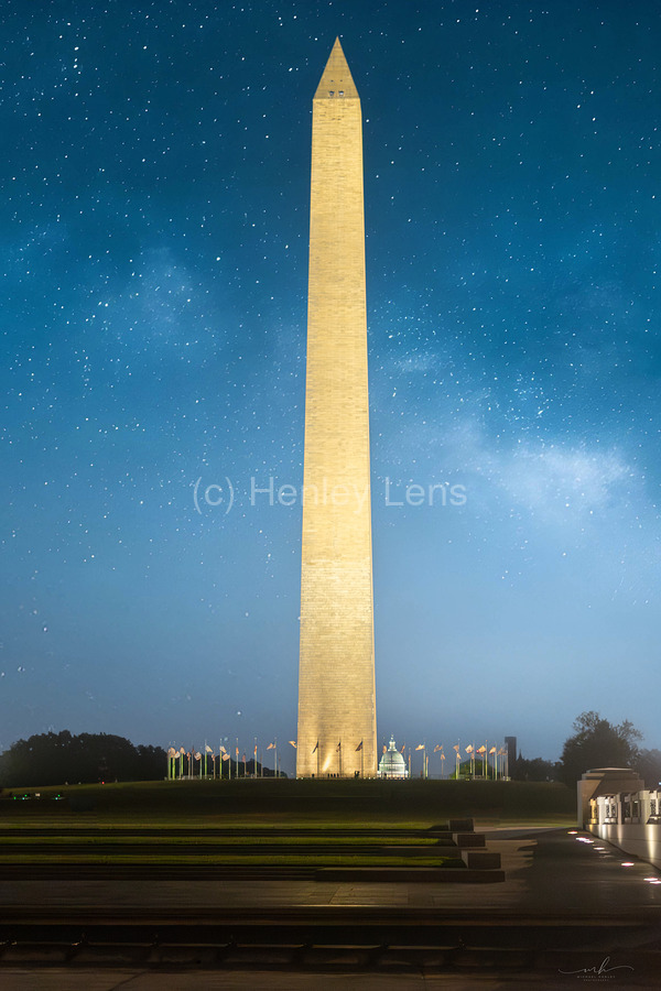 Sentinel Under Stars  Print