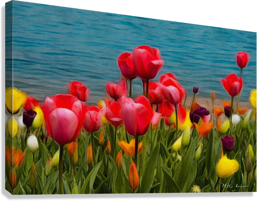 Tulips by the Water  Canvas Print