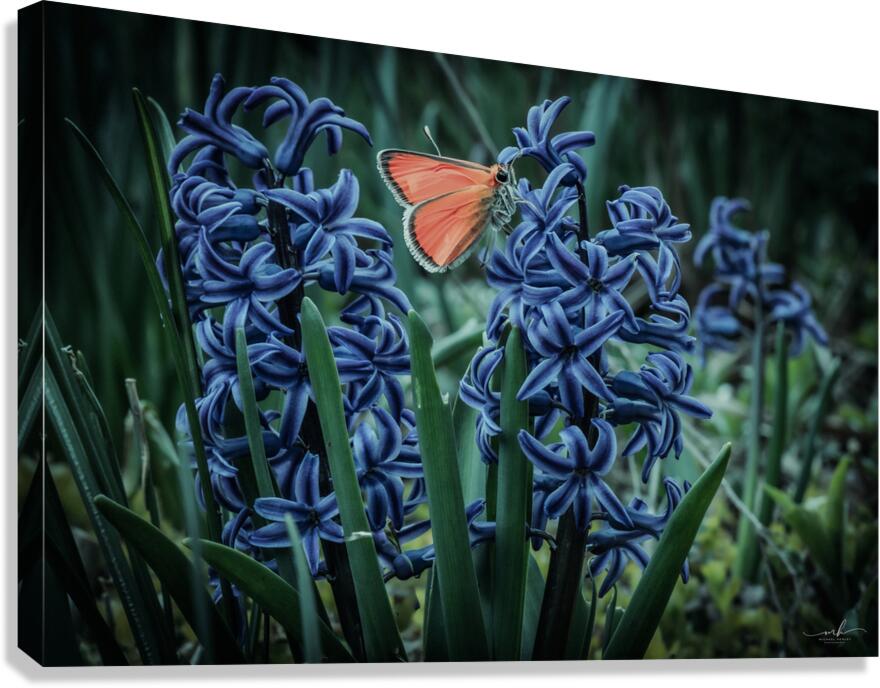 Harmony in Bloom  Canvas Print