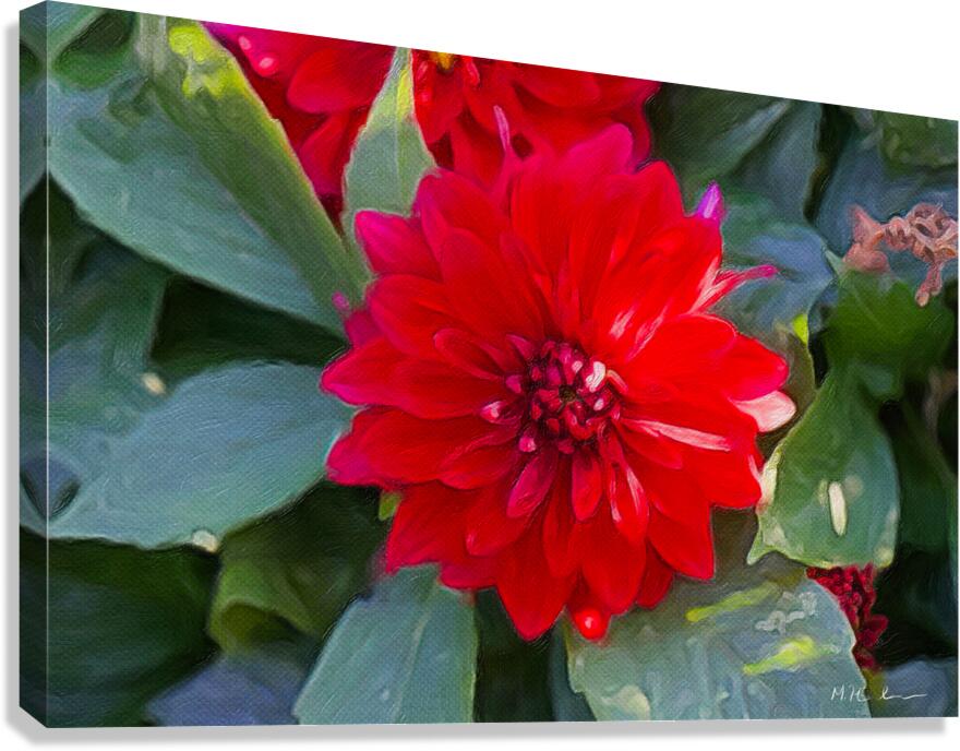 Crimson Grace Canvas Print
