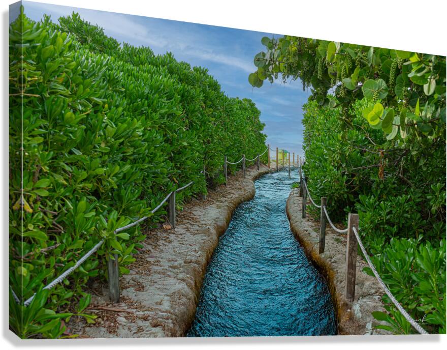 Path of Stillness Canvas Print