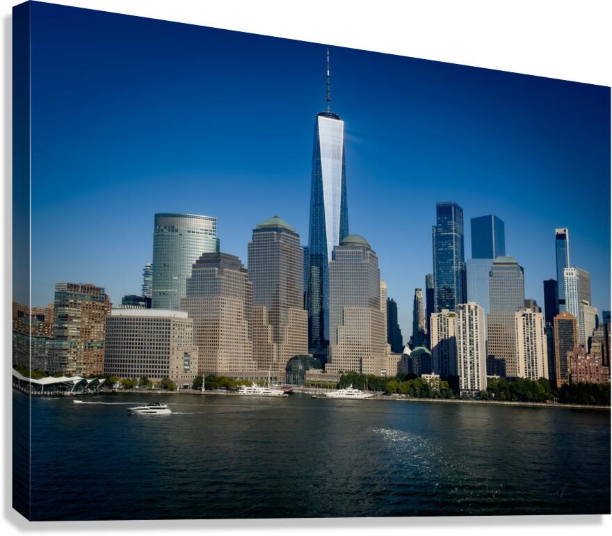 Resilience Rising Canvas Print