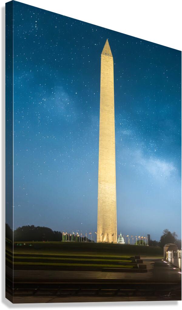 Sentinel Under Stars Canvas Print