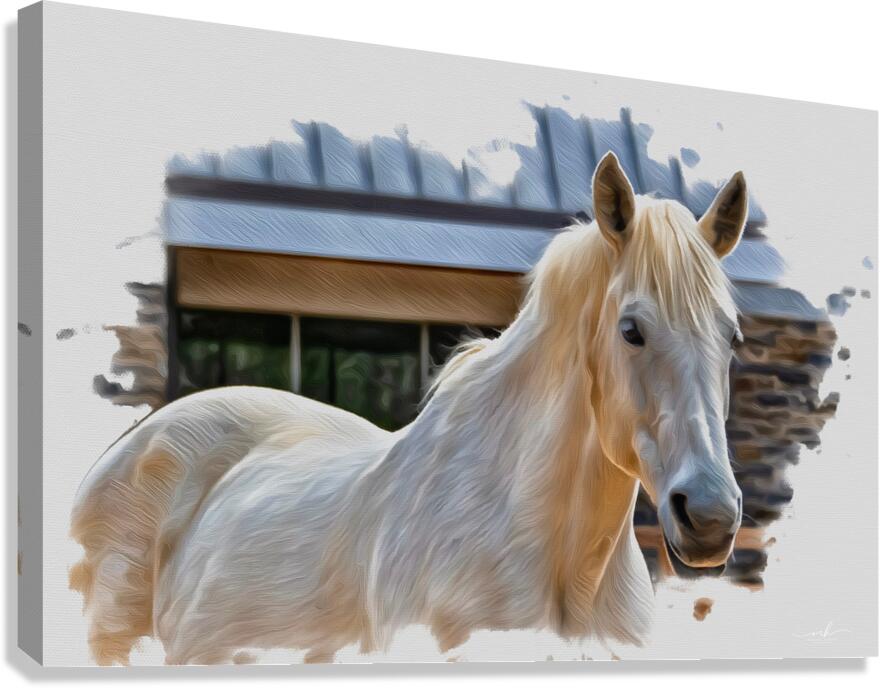 Keeper of Quiet Light Canvas Print