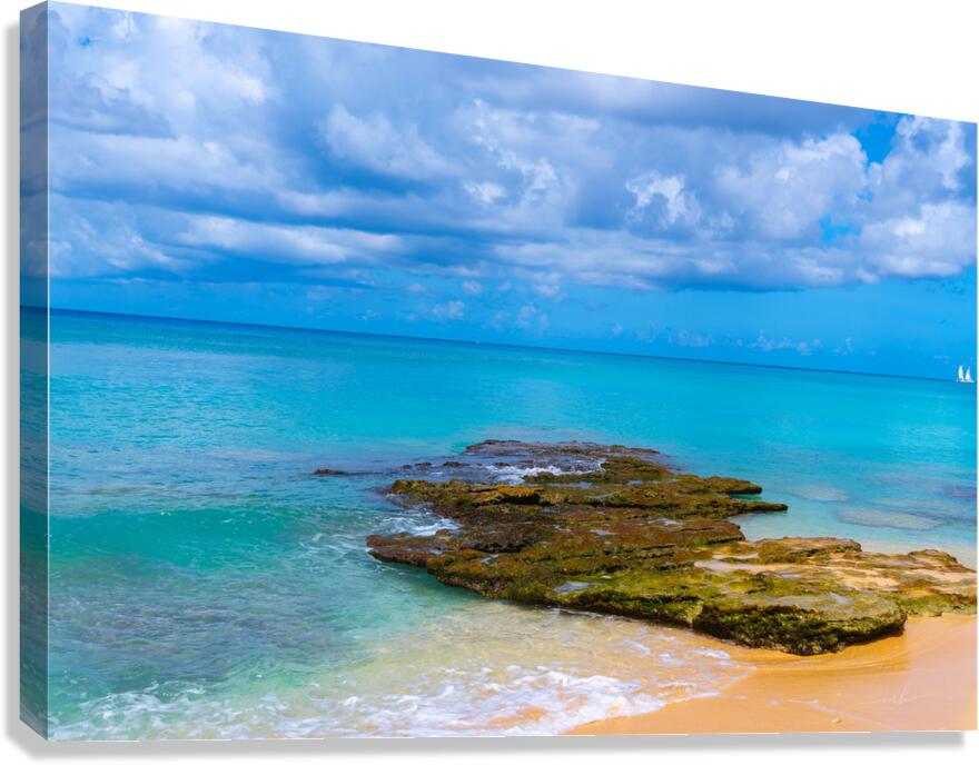 Where the Horizon Whispers Canvas Print