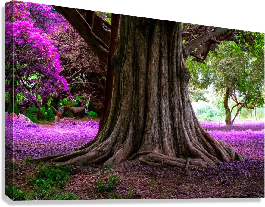 Majestic Roots Canvas Print