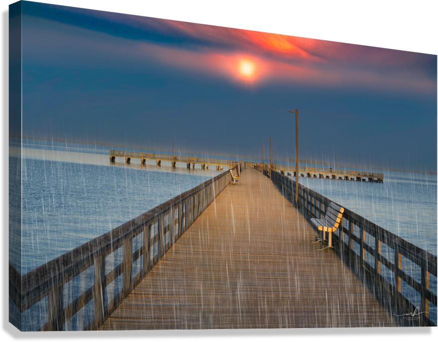 Solitude in the Rain Canvas Print