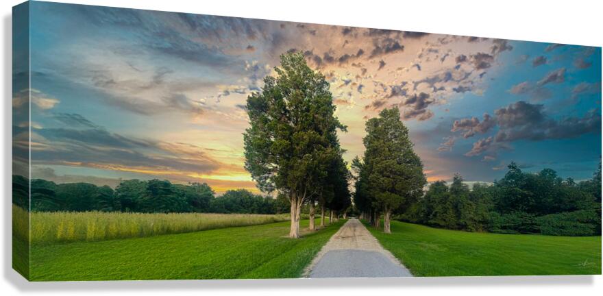 Pathway to Serenity Canvas Print