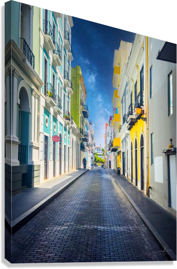 Where Color Walks in Silence Canvas Print