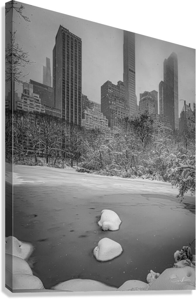 After the storm Canvas Print