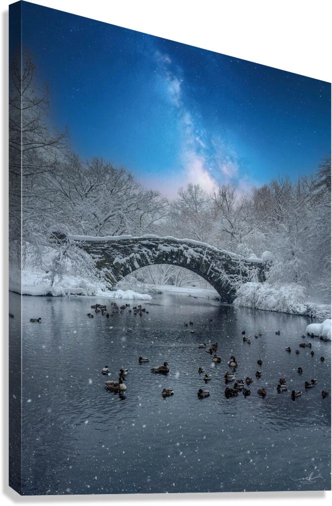 Stillness Beneath the Winter Bridge Canvas Print