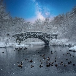 Stillness Beneath the Winter Bridge