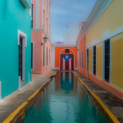 Alley of Pride and Reflection