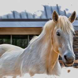 Keeper of Quiet Light