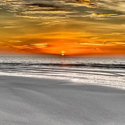 Where the Horizon Breathes