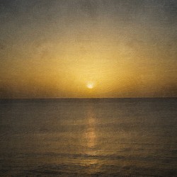 Solace at the Horizon