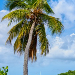 Whispers of the Horizon