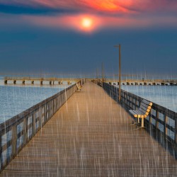 Solitude in the Rain