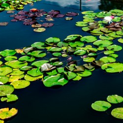 Whispers Beneath the Surface