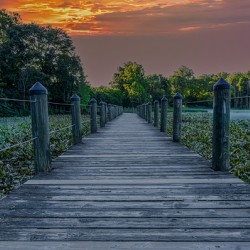 Sunset Serenity on the Boardwalk