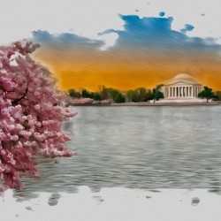 Petals of Reflection