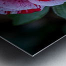 Peppermint Bloom Metal print