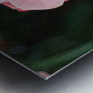 Whispers of Renewal Metal print