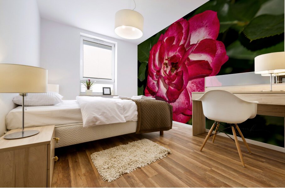 Rosey Delight Mural print