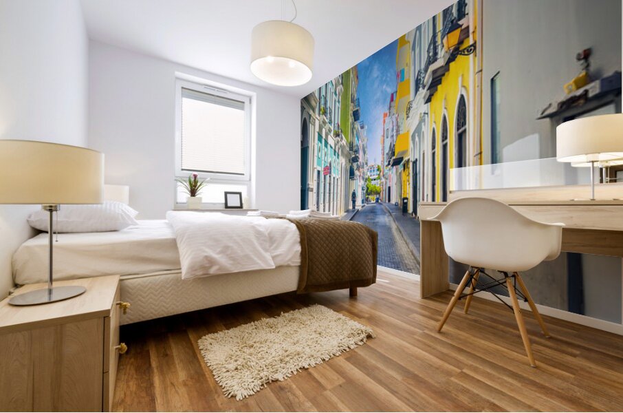 Where Color Walks in Silence Mural print