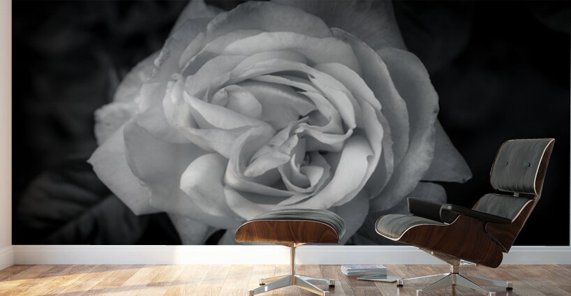 Timeless Elegance Wall Murals