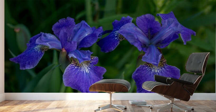 Azure Elegance Wall Murals