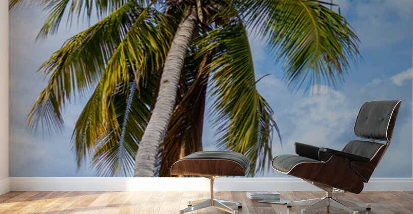 Whispers of the Horizon Wall Murals