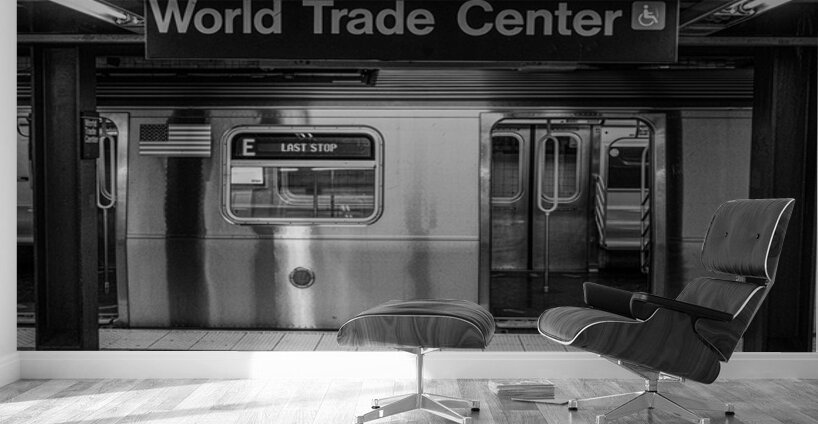 Terminus of Echoes Wall Murals