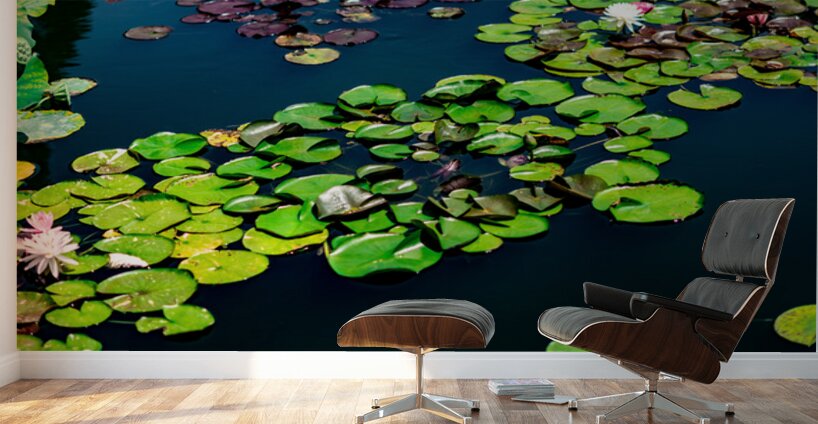 Whispers Beneath the Surface Wall Murals